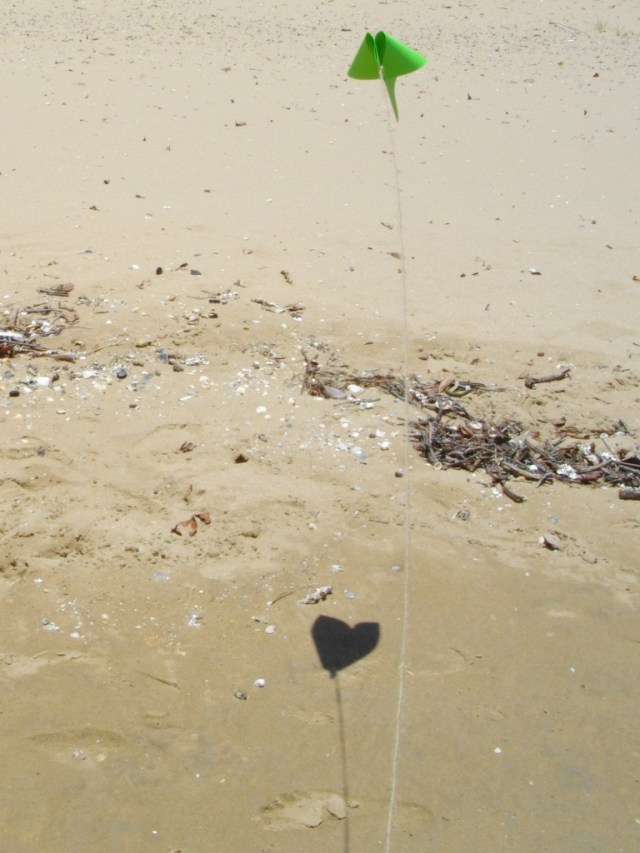 Go and Fly Your Kite!