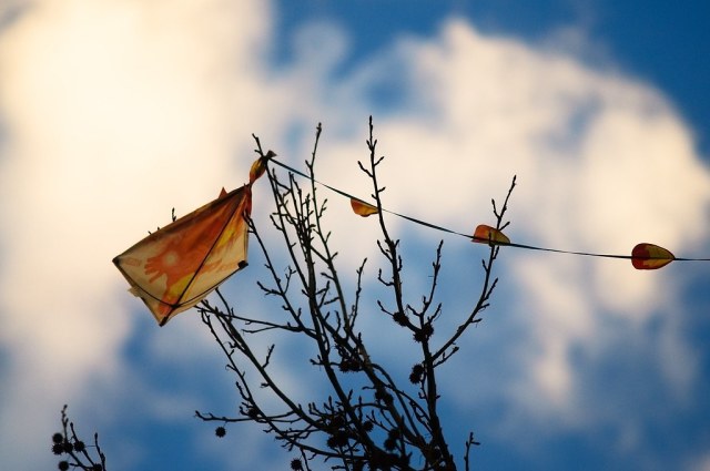 Kite Stuck In Tree | The mighty Iron Man stuck in a tree, al… | Flickr