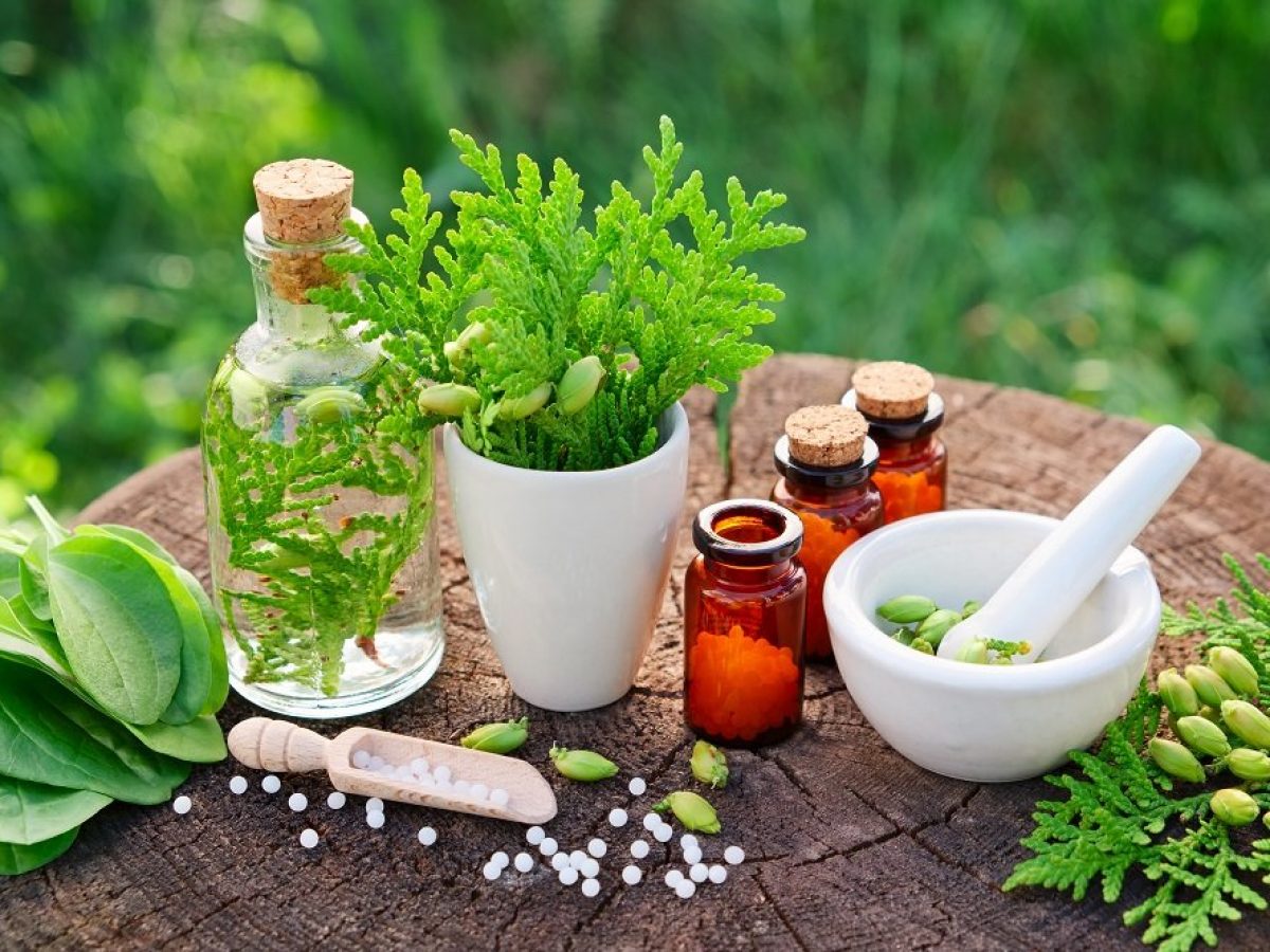 Plants as a source of new medicines – Drug Discovery World (DDW)