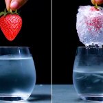 11 Simple and Incredible Science Experiments for Kids 11 Simple and Incredible Science Experiments for Kids