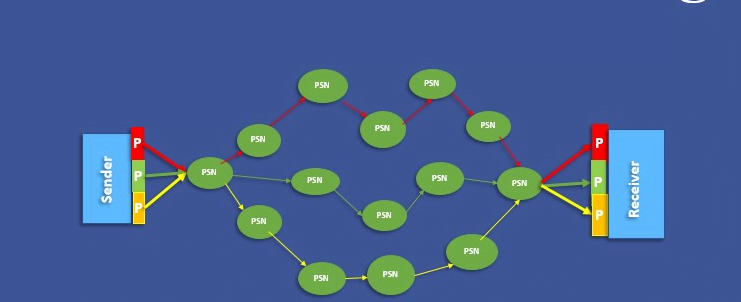 पैकेट स्विचिंग क्या है?