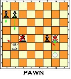 Chess: Names of Pieces - Podium School