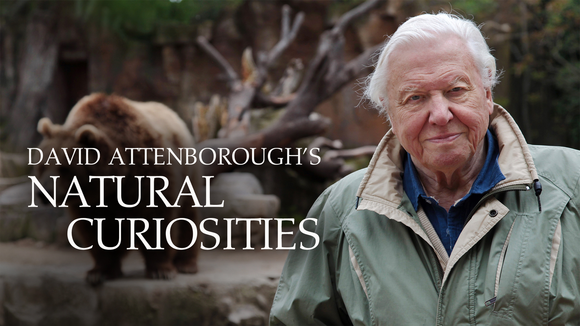 Prime Video: David Attenborough's Natural Curiosities - Season 1